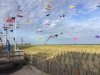 thumbnailbeachkites.jpg