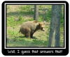 upload_2021-4-11_21-54-27.png