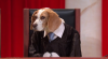 a05590e50af3478d9b52c10738887a32_1qXKoYV_3_original.png