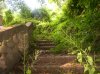 100_0300.JPG