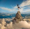 Funny-Holstein-Mountain-Climbing-Cow.jpg