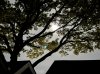 D18E896A-A350-4B90-91AB-F8807681A7D3.jpeg
