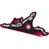 el_richmond_flyingsquirrels19-200.png