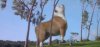 JurassicDog.jpeg