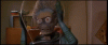 BlackDimAtlanticblackgoby-max-1mb.gif