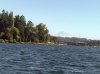IMG_2177.jpg