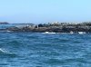 IMG_2258.jpg