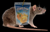 upload_2021-7-31_11-31-12.png