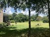 Back Yard.jpg