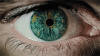 zmNdIpH.gif