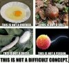 FB_IMG_1630991965754.jpg