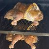 PIT KINGS CHICKEN2.jpg
