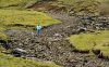 dried up river.jpg