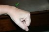 the hole in the hand.jpg