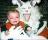 scary dog sitter.jpg