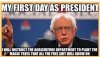 Bernie.jpg