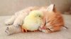 upload_2022-1-3_17-11-42.jpeg