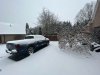 Snow1.jpeg
