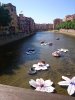 IMG_20150508_103252.jpg