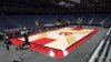 raptors_court_2.jpg