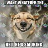 i-want-whatever-the-hell-hes-smoking.jpg