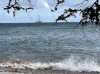 IMG_2016.jpg