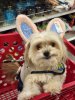 Abby Easter.jpeg