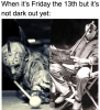 EEYGhD4XsAEELL9.png