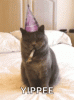 upload_2022-6-28_17-10-47.gif