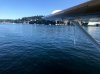 IMG_2279.jpg