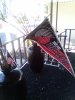 IMG_20220713_101316.jpg