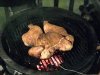CHICKEN1.jpg