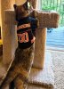 IMG_20220924_201603.jpg