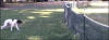 upload_2022-10-16_6-49-25.gif