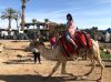 IMG_3682.jpg