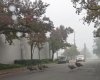 PXL_20221113_182638037.jpg