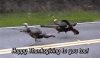 8a5707021394aa5a1b14549c29add81a.gif
