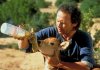 db804d8ec62485e884189987b74b94ec--baby-cows-city-slickers.jpg