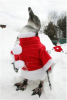 upload_2022-12-2_15-27-49.png