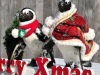 upload_2022-12-2_15-28-56.png