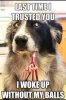 neutered.jpg