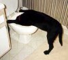 Drank too much.jpg