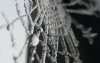 1913694_1270540519353_101936_n.jpg