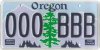 Timbers Plate.jpg