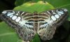 upload_2016-3-1_8-30-51.jpeg