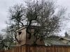 083187C2-817F-4732-A3BD-24404C6BDF68.jpeg