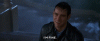 giphy (1).gif