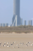 0EBCC928-3E11-4FE9-883D-A3739A6E5176.png