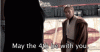may-the4th-be-with-you-may-the-fourth-be-with-you.gif