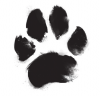upload_2023-5-20_21-4-27.png